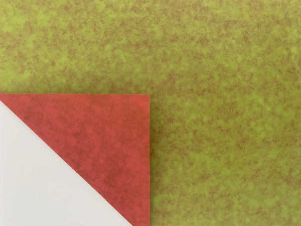 7001a Blumenseidenpapier "Bicolor Hellgrün-Rot" 75 cm