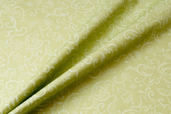 56297 Blumenseidenpapier "Ranken" Hellgrün 50 cm / 75 cm